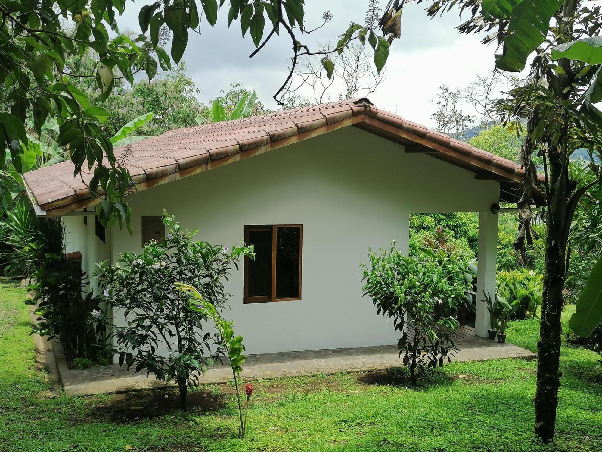 La Ceiba Tree Lodge Tilaran ภายนอก รูปภาพ