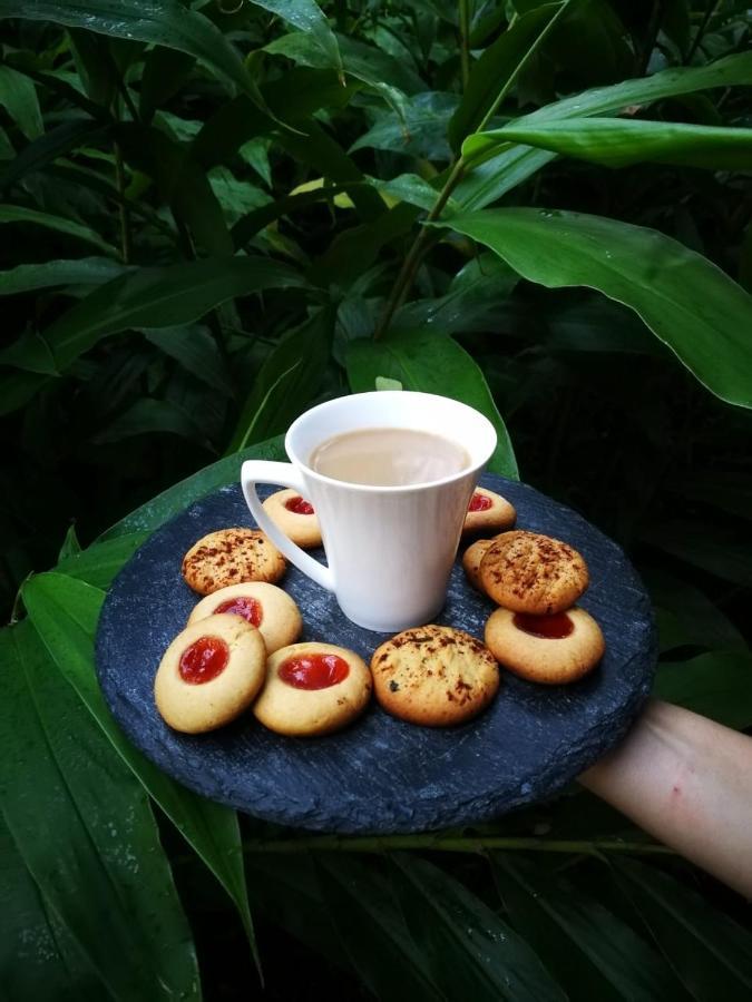 La Ceiba Tree Lodge Tilaran ภายนอก รูปภาพ