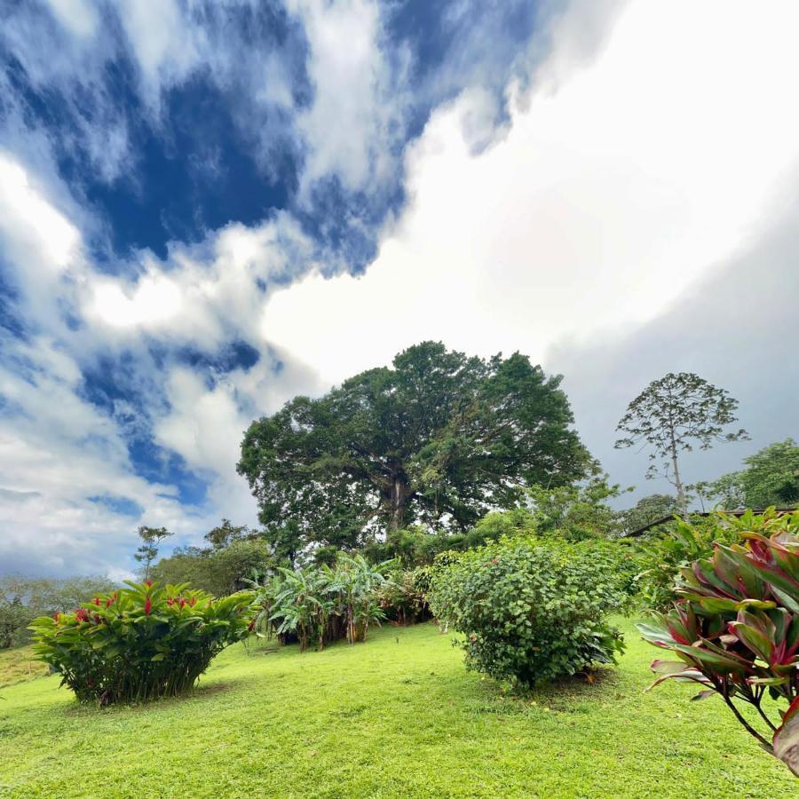 La Ceiba Tree Lodge Tilaran ภายนอก รูปภาพ