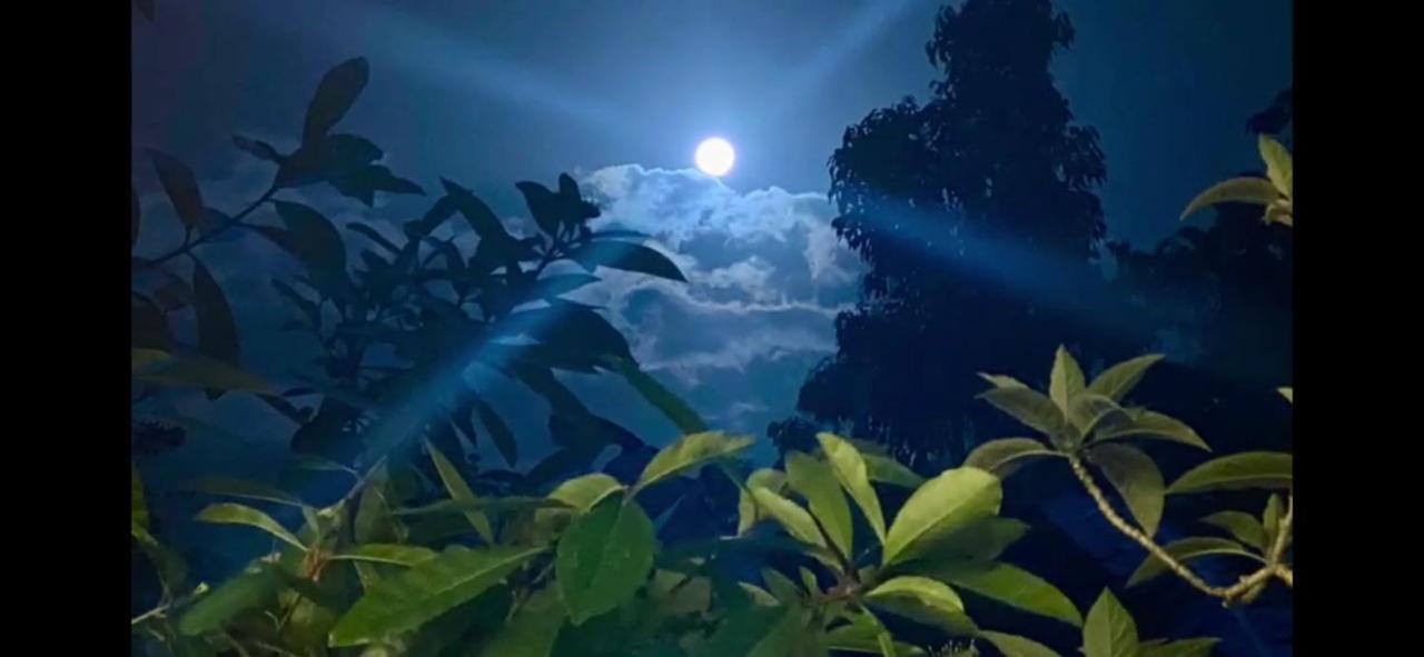 La Ceiba Tree Lodge Tilaran ภายนอก รูปภาพ